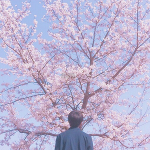 ❤国产嫩草影院❤聂小雨
